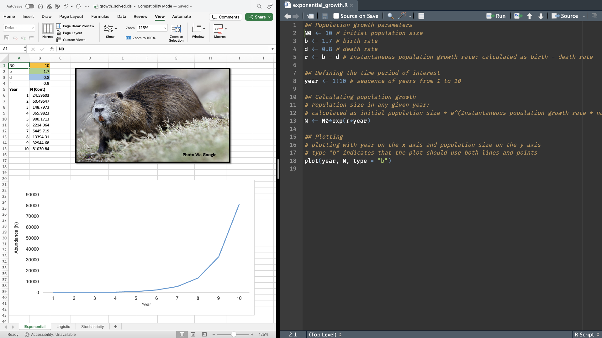  Formula for exponential population growth, implemented using both Microsoft Excel and R. Teaching using both programs can reinforce basic concepts, and provide a good framework for an introduction to programming in R. 